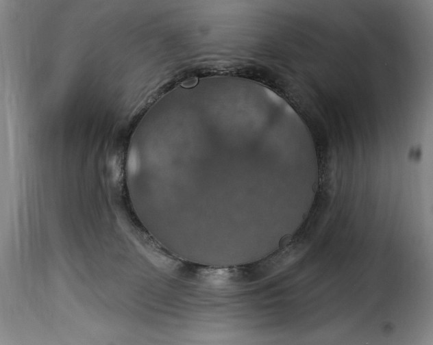 X0000115360131200911241226