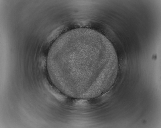 X0000115360132200911241226