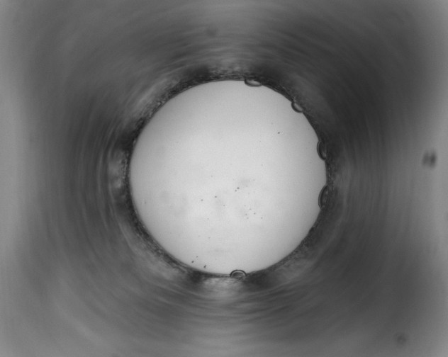 X0000115360133200911241226