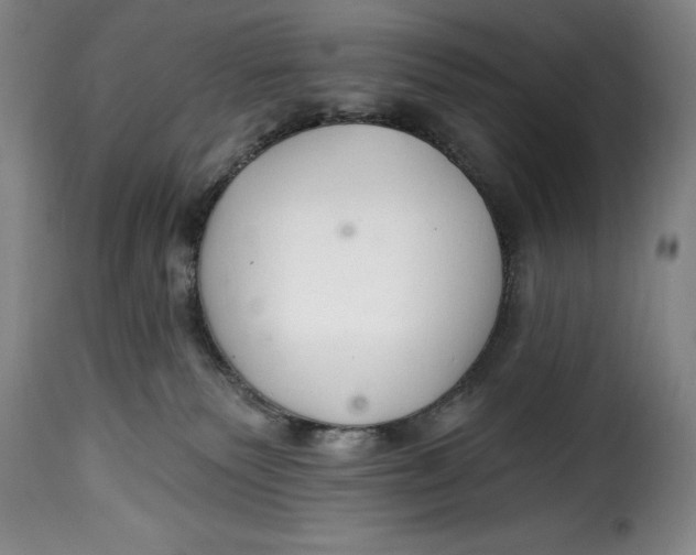 X0000115360135200911241226