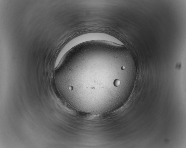X0000115360136200911241226