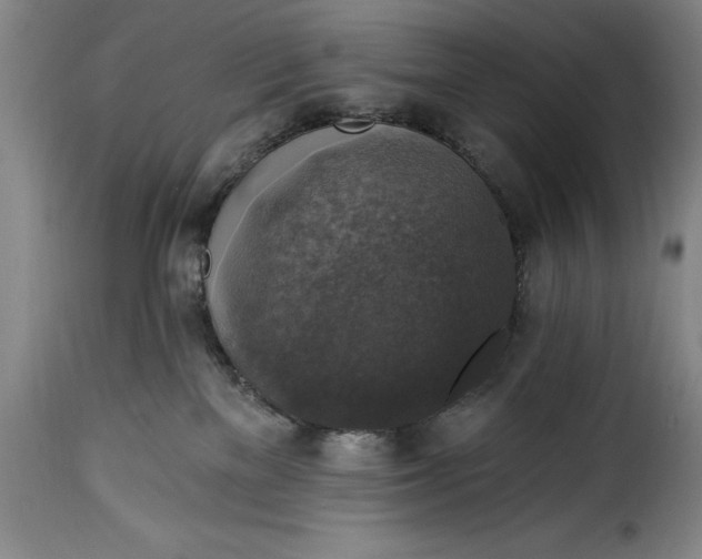 X0000115360137200911241226
