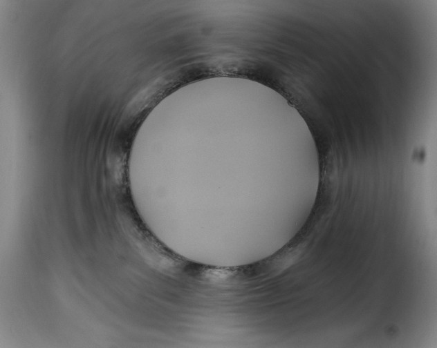X0000115360139200911241225