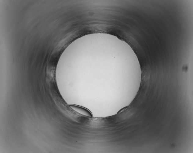 X0000115360141200911241225