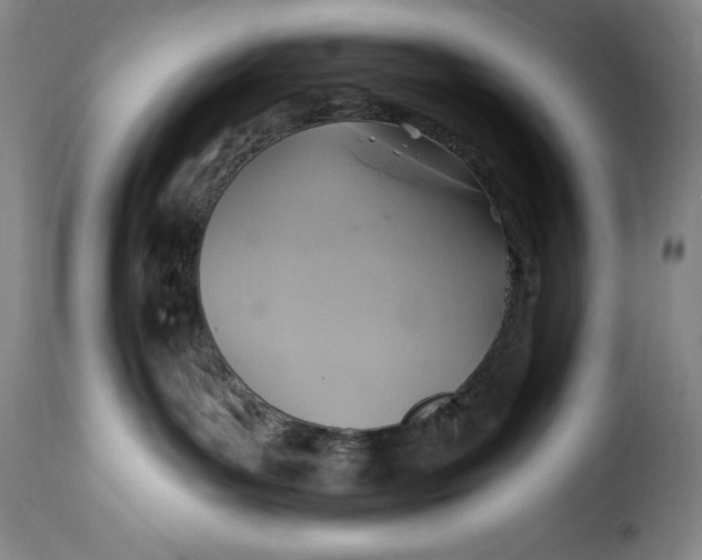 X0000115360143200911241225
