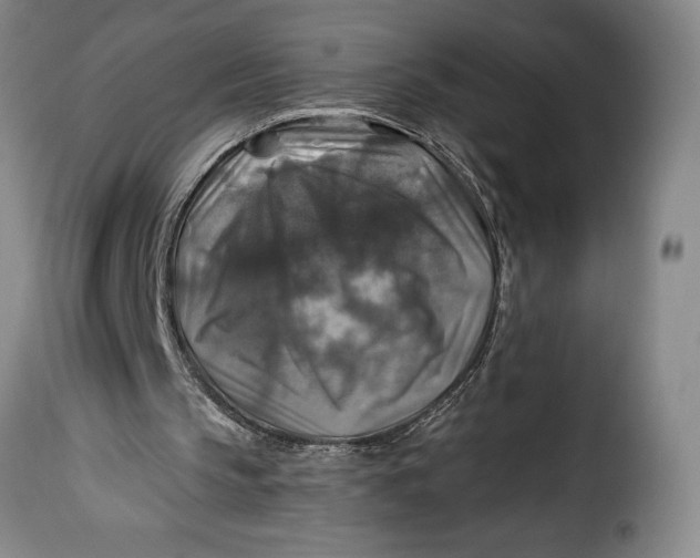 X0000115360145200911241225