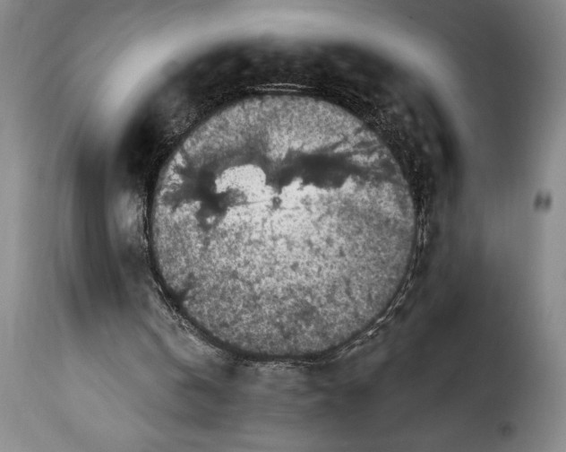 X0000115360146200911241225