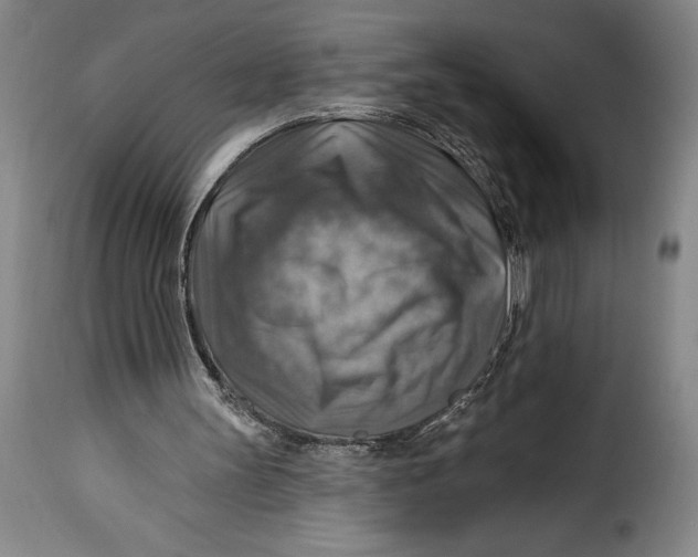 X0000115360147200911241225