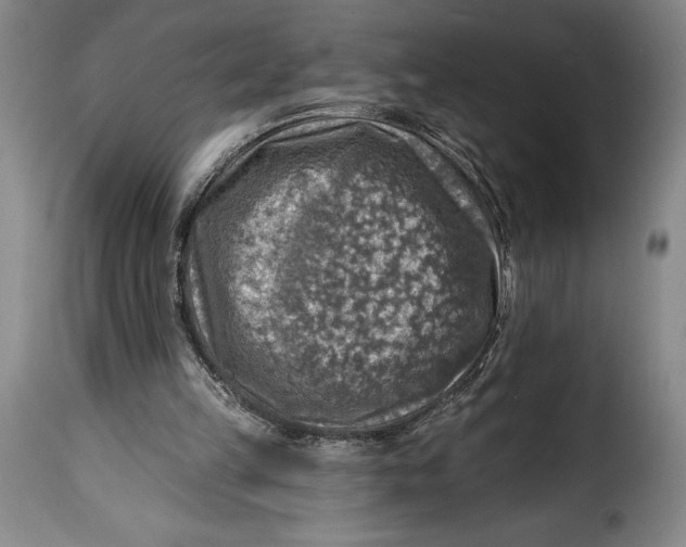 X0000115360149200911241225