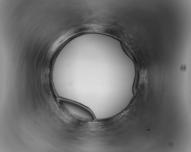 X0000115360150200911241225