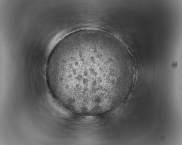 X0000115360151200911241225