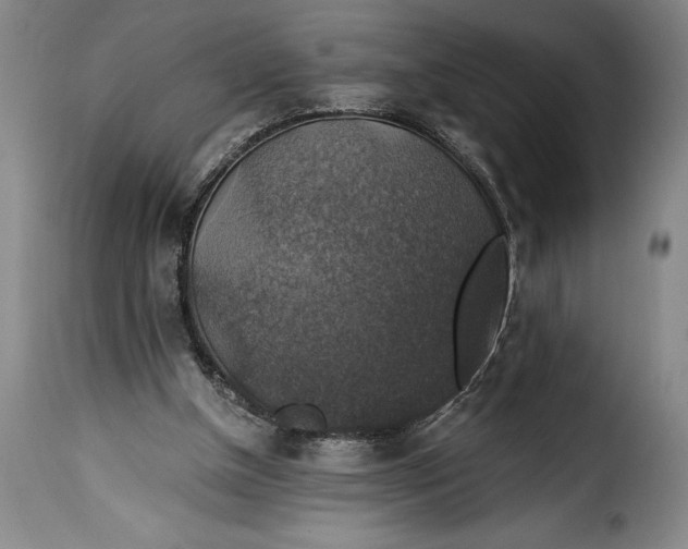 X0000115360154200911241225
