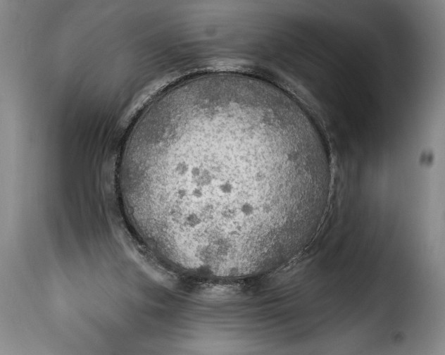 X0000115360155200911241225
