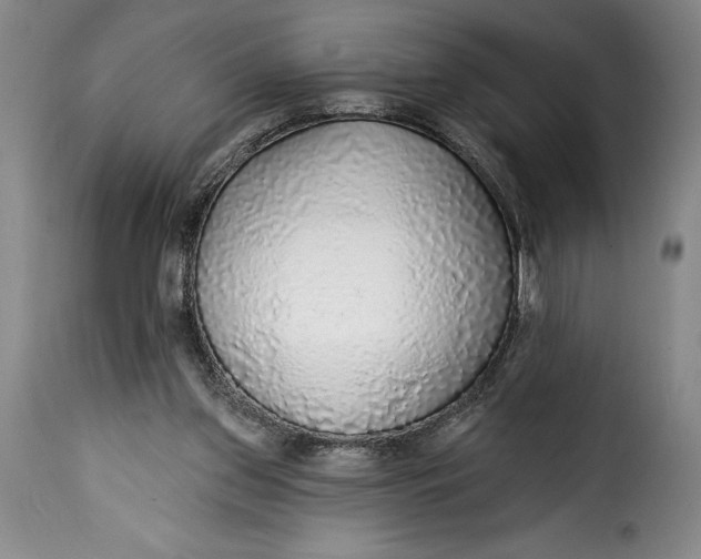 X0000115360157200911241225
