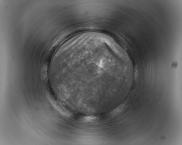 X0000115360158200911241225