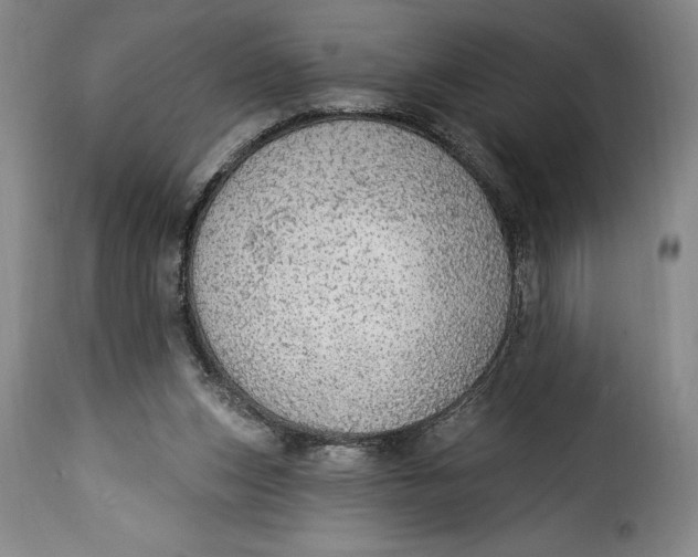 X0000115360159200911241225