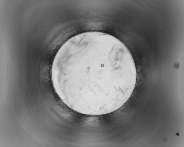 X0000115360162200911241225