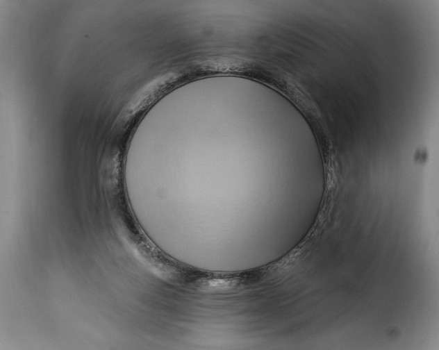 X0000115360163200911241225