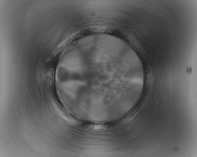 X0000115360165200911241225