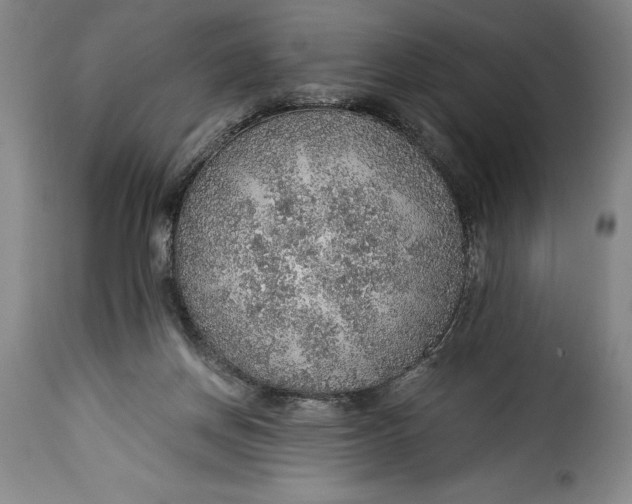 X0000115360166200911241225