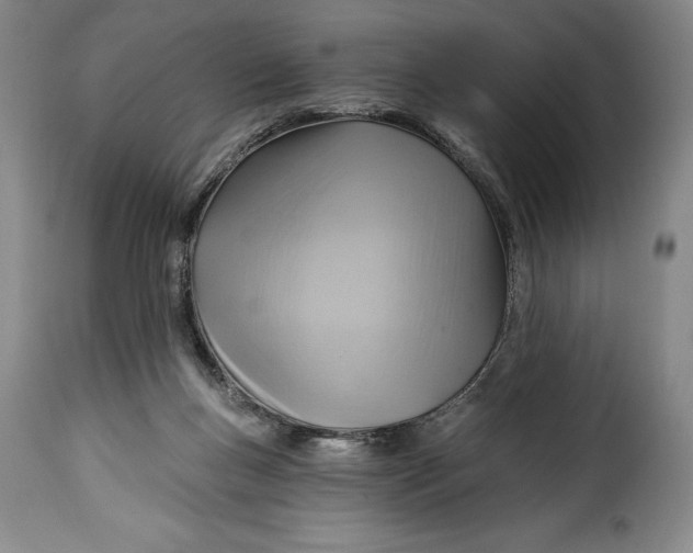 X0000115360167200911241225