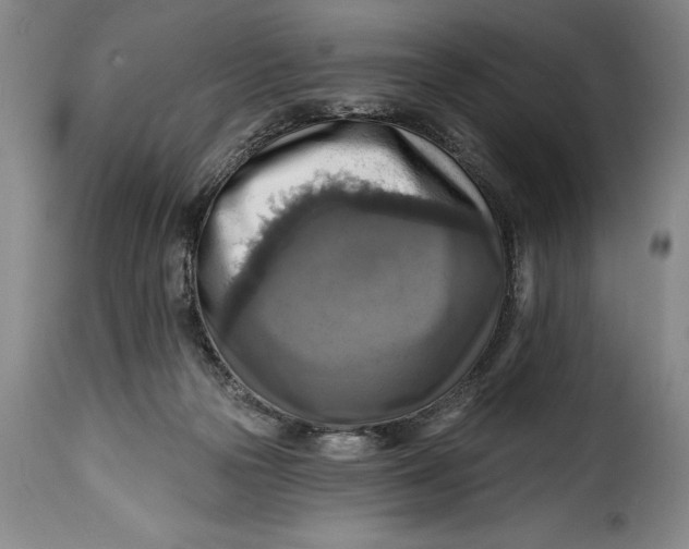 X0000115360169200911241225