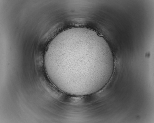 X0000115360170200911241225