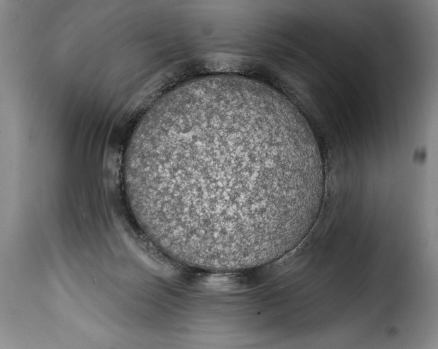 X0000115360171200911241225