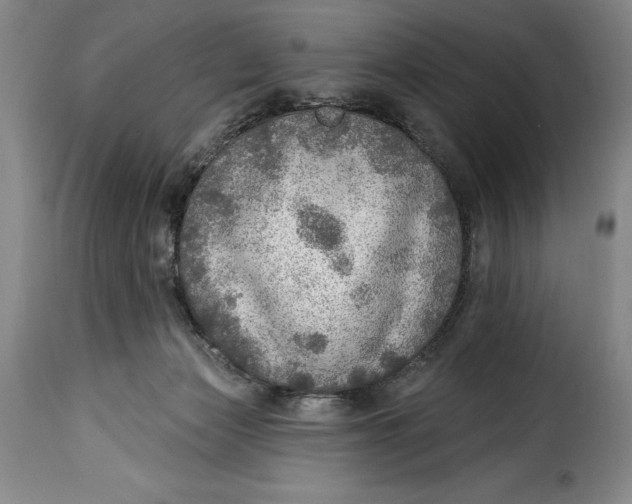X0000115360173200911241225