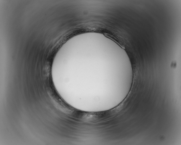 X0000115360174200911241225