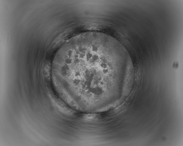 X0000115360175200911241225