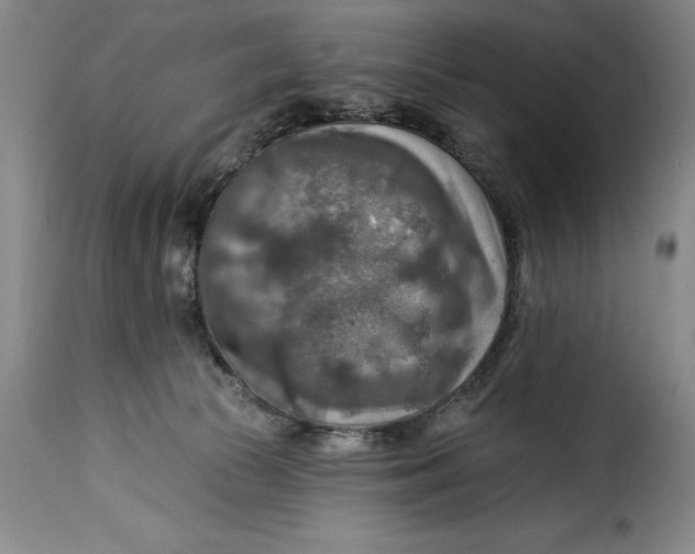 X0000115360177200911241225