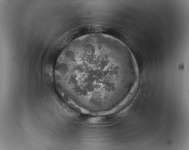 X0000115360178200911241225