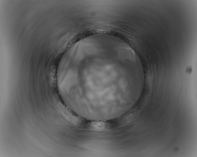 X0000115360181200911241225