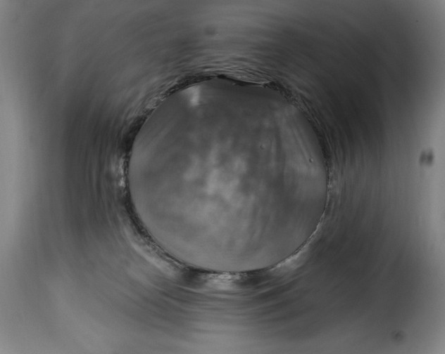 X0000115360182200911241225