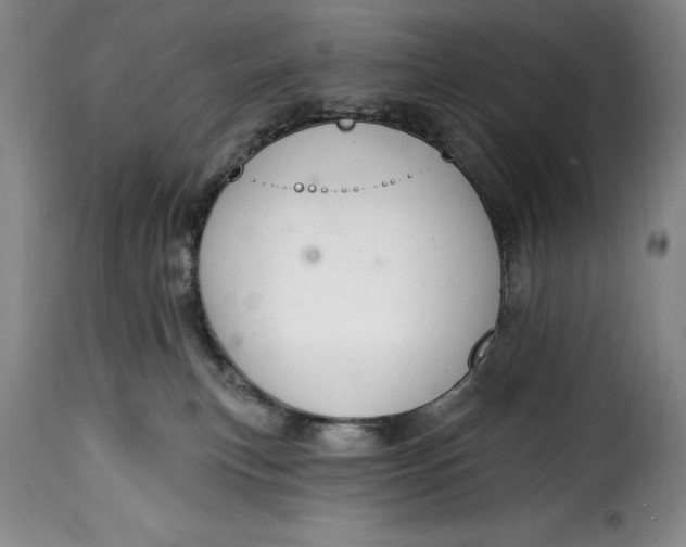 X0000115360183200911241225