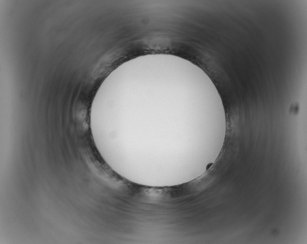 X0000115360187200911241225