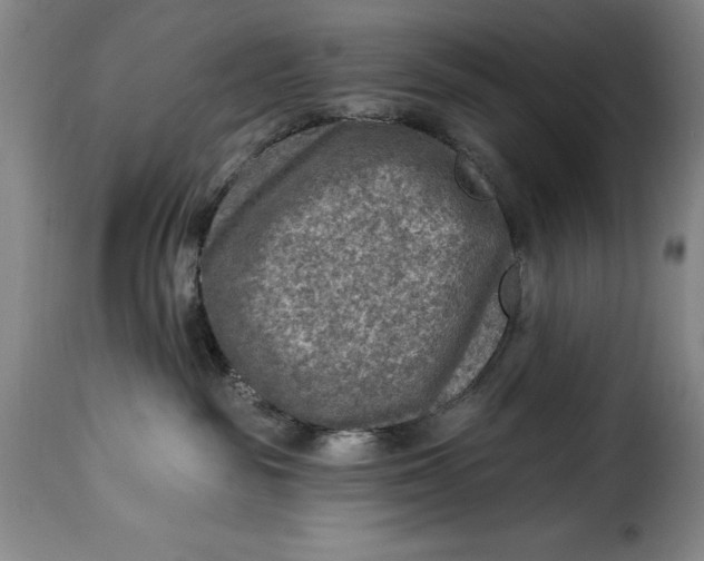 X0000115360189200911241225