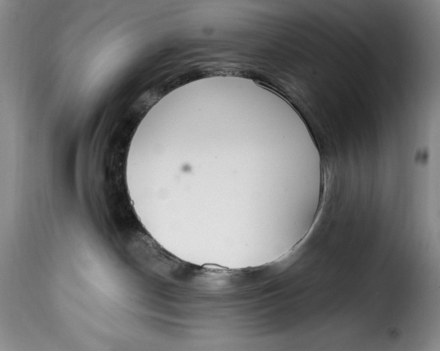 X0000115360190200911241225