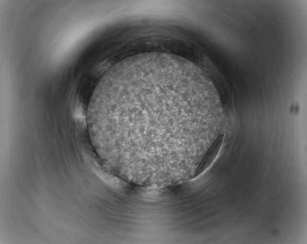X0000115360191200911241225