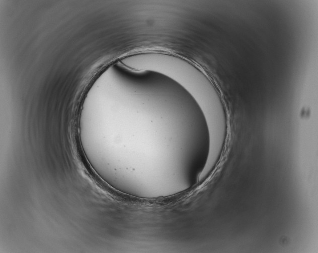 X0000115360193200911241225