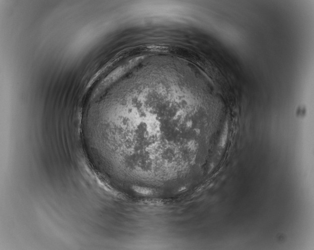 X0000115360194200911241225