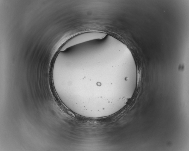 X0000115360195200911241225