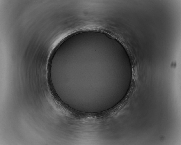 X0000115360196200911241225