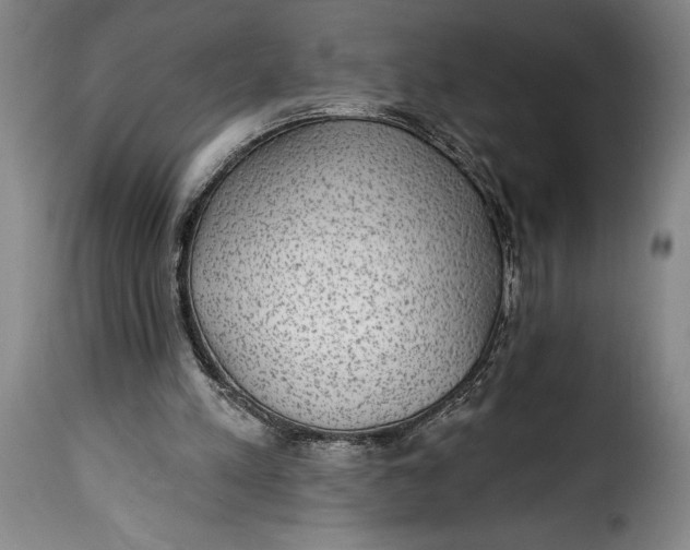 X0000115360197200911241225