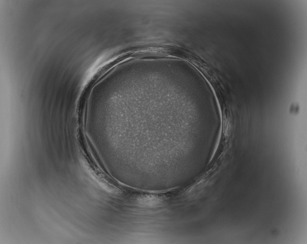 X0000115360198200911241225