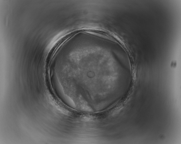X0000115360199200911241225