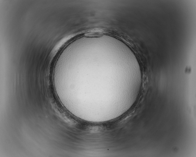 X0000115360200200911241225