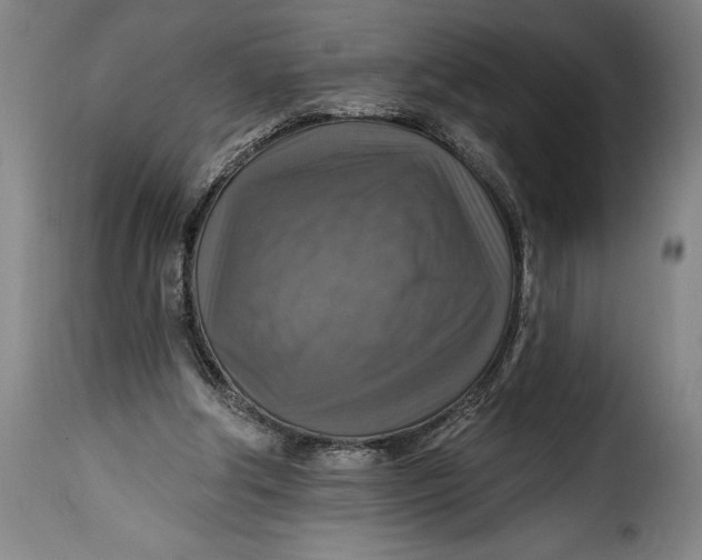 X0000115360202200911241225