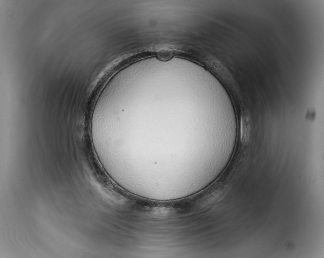 X0000115360204200911241225